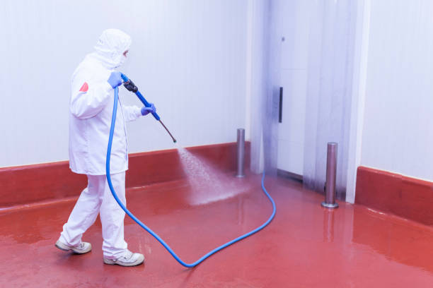 Best Driveway Pressure Washing  in Pelican Rapids, MN